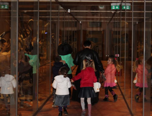 HALLOWEEN AL MUSEO