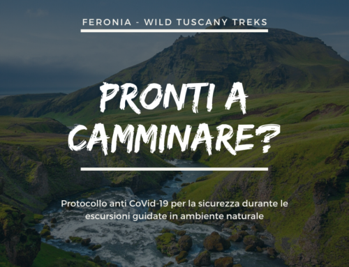 DISCIPLINARE COVID-19 DA ADOTTARE DURANTE LE ESCURSIONI