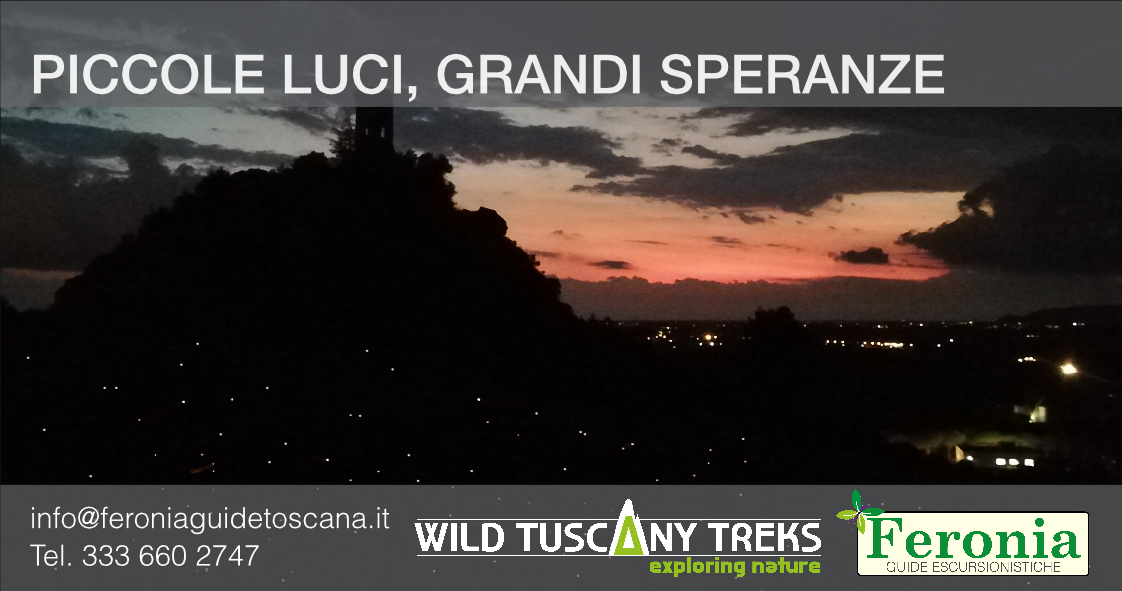 Piccole luci grandi speranze