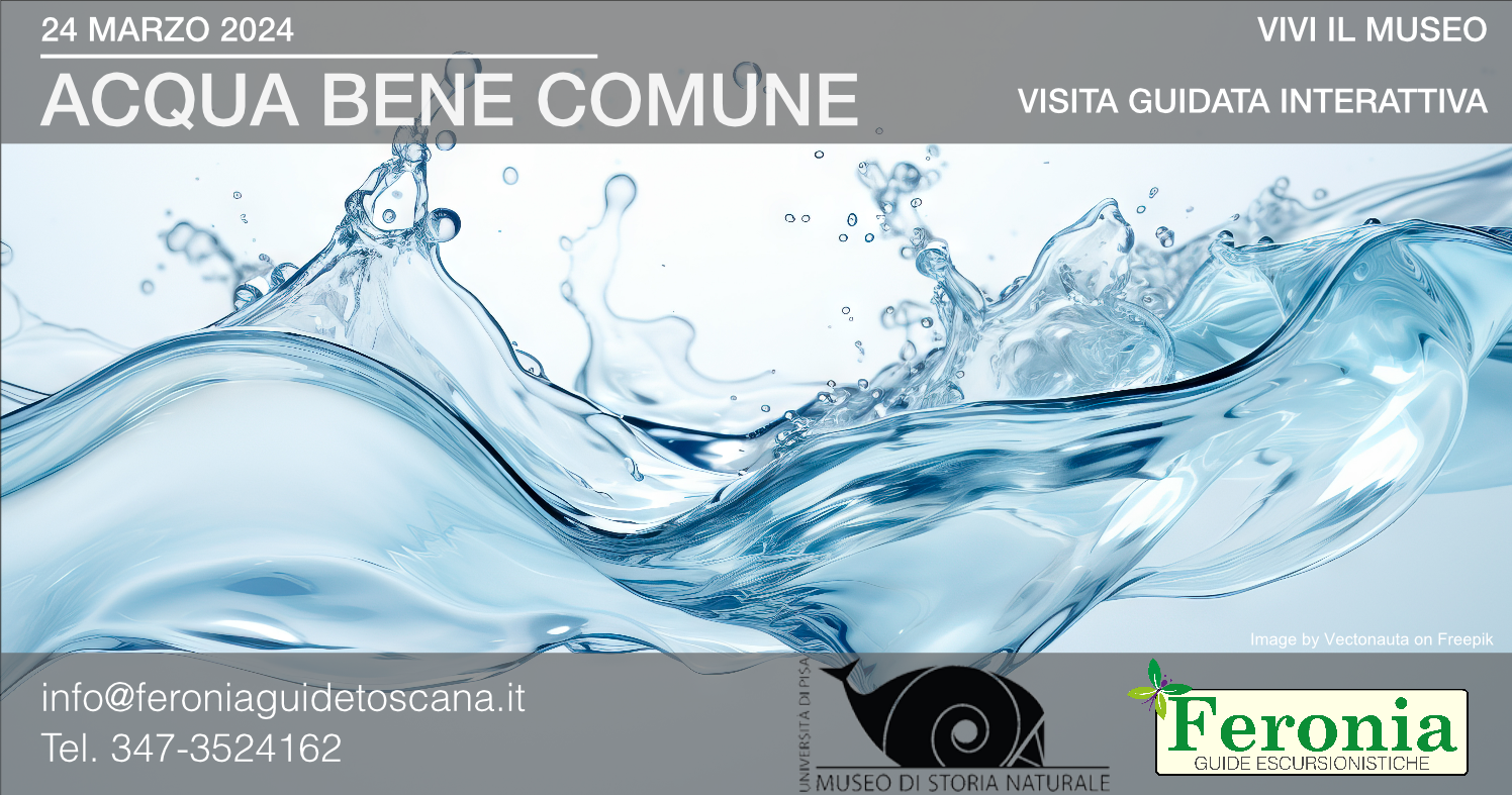 Acqua bene comune