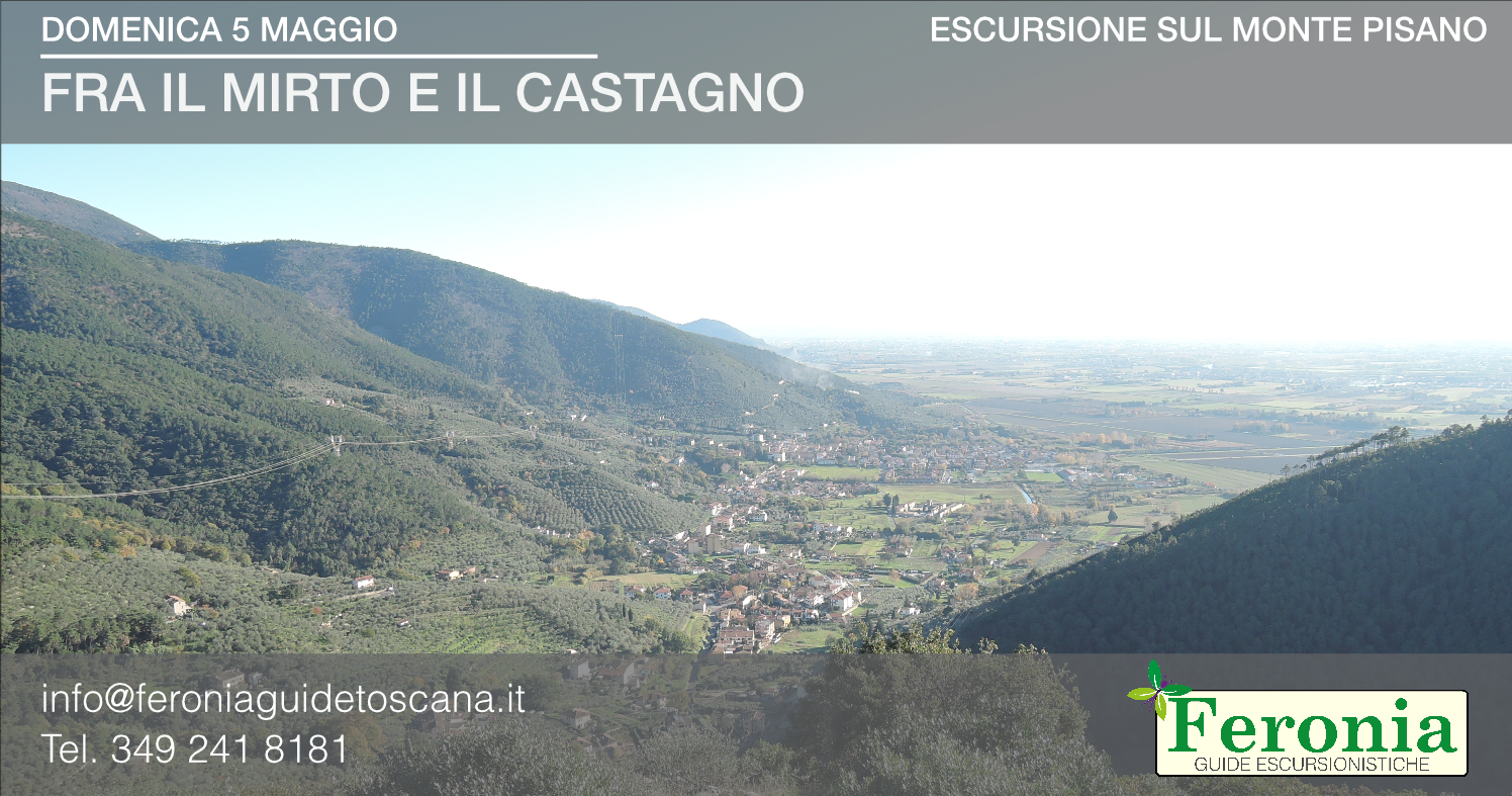 Fra il mirto e il castagno